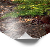 マウイ海岸線 フォトプリント            (角)