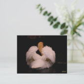 マウイ白鳥はがき ポストカード (スタンド正面)