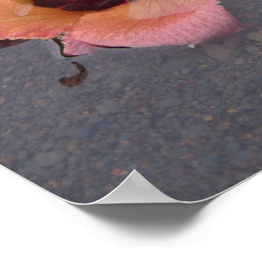 マウイ禅 ポスター (角)