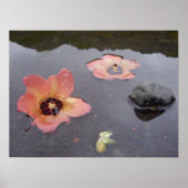 マウイ禅 ポスター (正面)