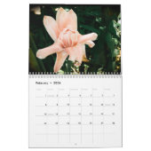 マウイ美しいカレンダー カレンダー (2月 2026)