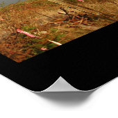 マウイ虹 ポスター (角)