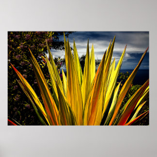 マウイ金ゴールド – ハワイ ポスター