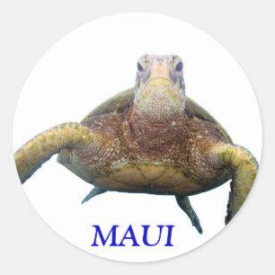マウイ·タートル·チェスト ラウンドシール