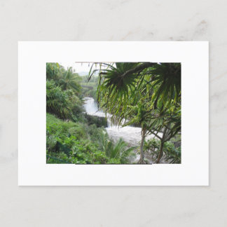 マウイ・ハナ ポストカード