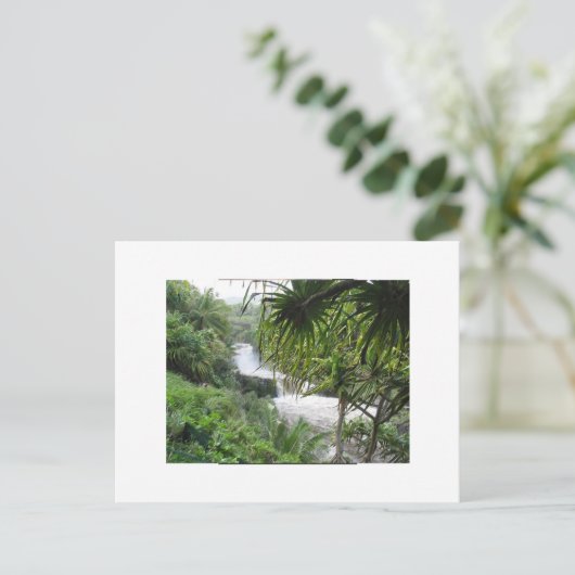 マウイ・ハナ ポストカード (スタンド正面)