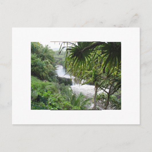 マウイ・ハナ ポストカード (正面)