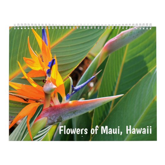 マウイ・ハワイの花 カレンダー (カバー)