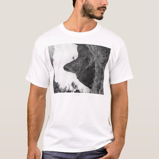 マウイ、ハワイ- Iaoの谷の針 Tシャツ (正面)