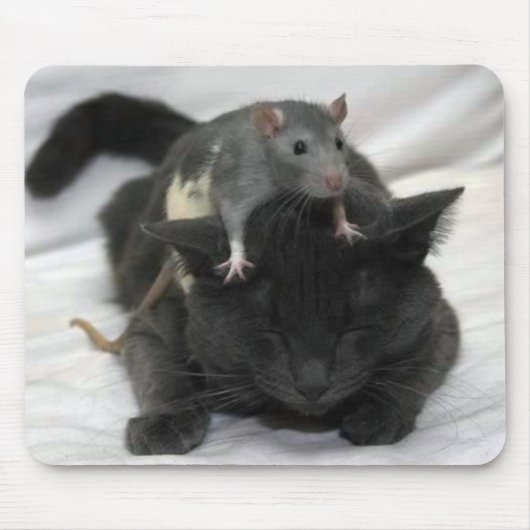 マウスおよび猫のマウスパッド マウスパッド (正面)