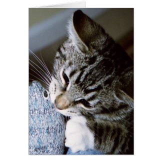 マウスが付いているナンシー