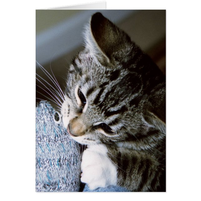 マウスが付いているナンシー (正面)