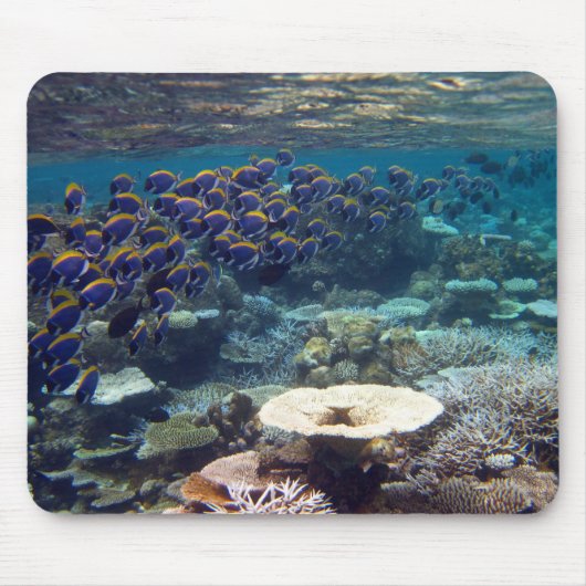 マウスのマット-淡いブルーの外科医の魚 マウスパッド (正面)