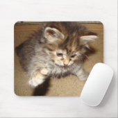 マウスの子猫のバットの使用 マウスパッド (マウス)