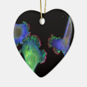 マウスの萌芽期の繊維芽細胞 セラミックオーナメント (左)