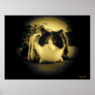 マウスの視点 ポスター