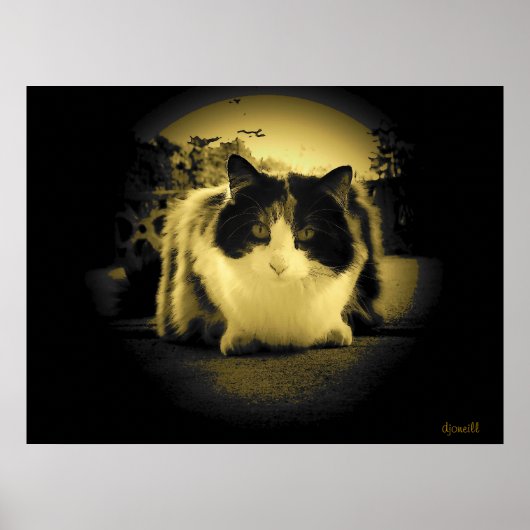 マウスの視点 ポスター (正面)