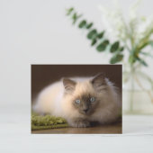 マウスの郵便はがきの追跡 ポストカード (スタンド正面)