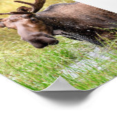 マウスの5x7ポスター紙（マット） ポスター (角)