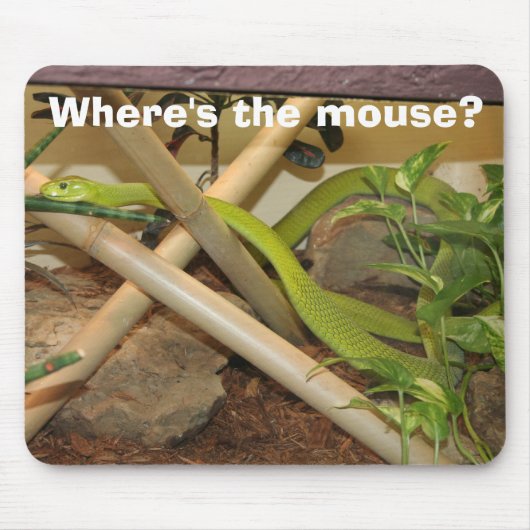 マウスはどこにありますか。 マウスパッド (正面)