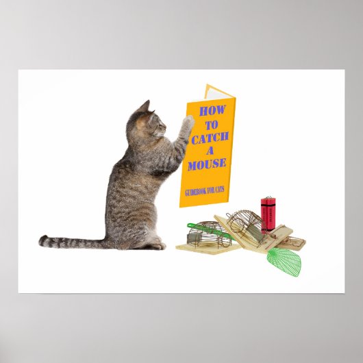 マウスをキャッチする方法 ポスター (正面)