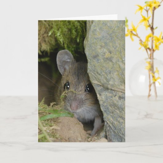 マウスを壁の穴に入れる カード (黄色い花)