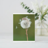 マウスウィッシュ ポストカード (スタンド正面)