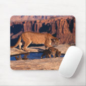 マウスパットマウンテンライオン&カブス マウスパッド (マウス)