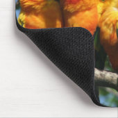 マウスパッドに寄添っているかわいく小さいオウムの列 マウスパッド (コーナー)