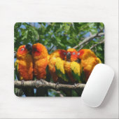 マウスパッドに寄添っているかわいく小さいオウムの列 マウスパッド (マウス)