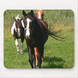 マウスパッドの家に先頭に立つこと マウスパッド