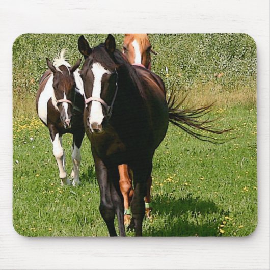 マウスパッドの家に先頭に立つこと マウスパッド (正面)