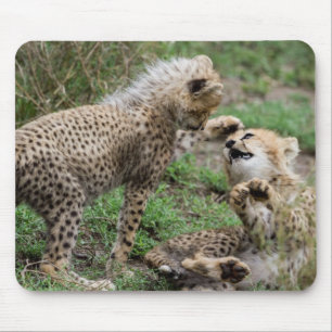マウスパッドを遊ぶチータカブス マウスパッド