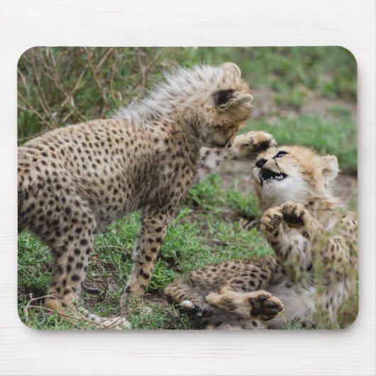 マウスパッドを遊ぶチータカブス マウスパッド (正面)