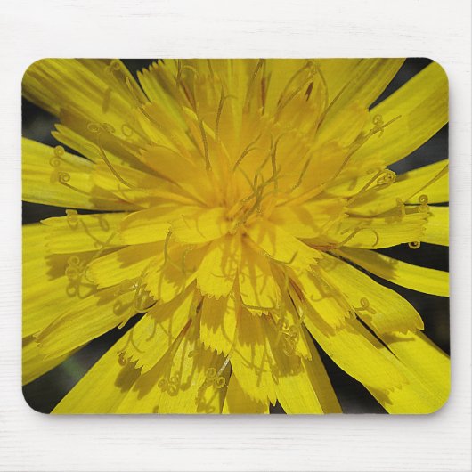 マウスパッドゲルベスブリュテンツェントラム マウスパッド (正面)