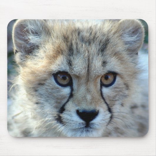 マウスパッドチータcub10x10 マウスパッド (正面)