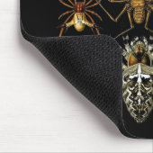 マウスパッドヴィンテージアーティストエルンストヘイケルアラチニダ マウスパッド (コーナー)