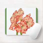 マウスパッド上のキャンディーケーンリリー マウスパッド (マウス)