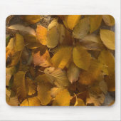 マウスパッド上の栄光の秋(1) マウスパッド (正面)