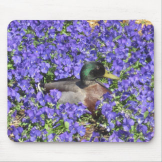 マウスパッド花壇を楽しんでいるマガモのアヒル マウスパッド