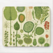 マウスパッド (正面)