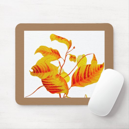 マウスパッド (マウス)