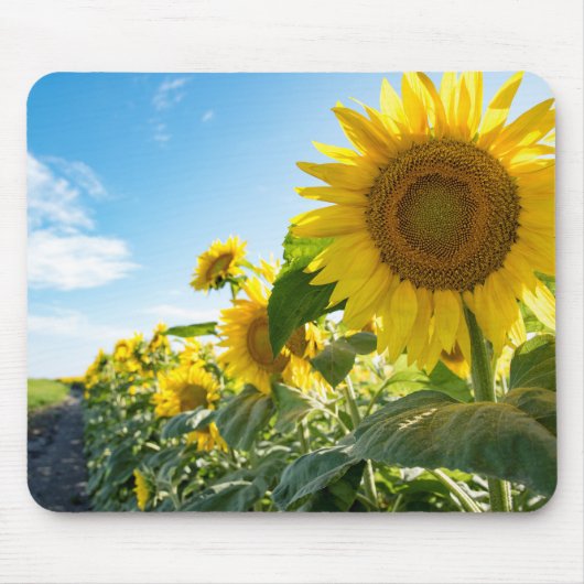 マウスパッド (正面)