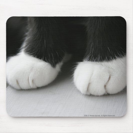 マウスパッド (正面)