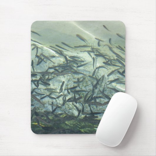 マウスパッド (マウス)