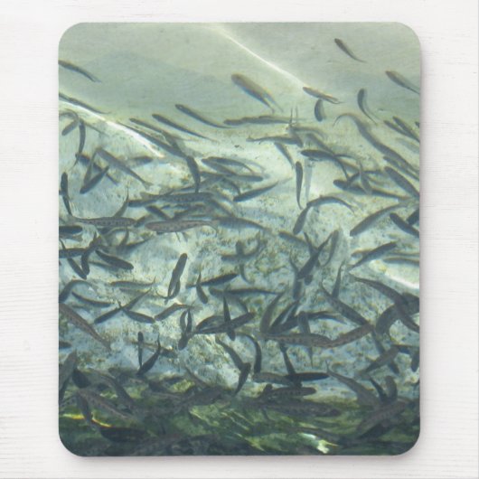 マウスパッド (正面)