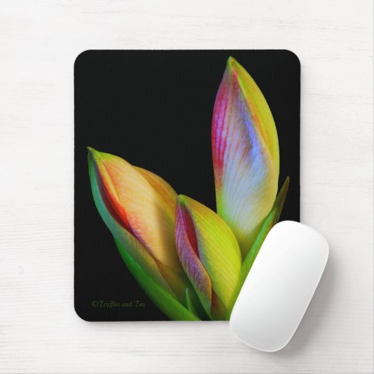 マウスパッド (マウス)