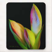 マウスパッド (正面)