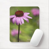 マウスパッド (マウス)