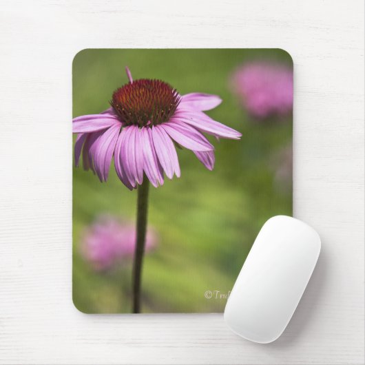 マウスパッド (マウス)